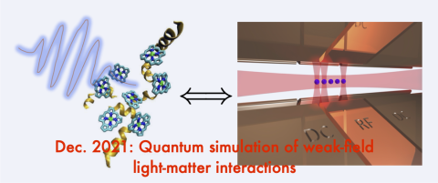 Quantum simulation of weak-field light-matter interactions